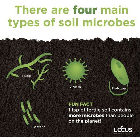 soil microbiology standards